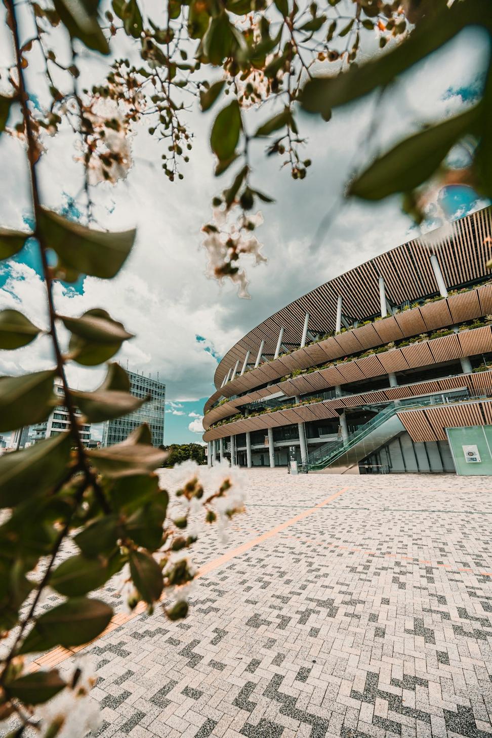 Stadium Architecture